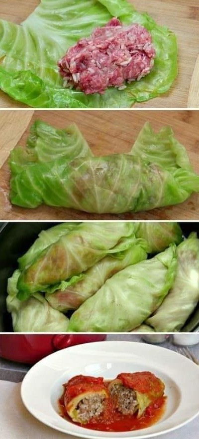 Stuffed cabbage rolls new york times recipes