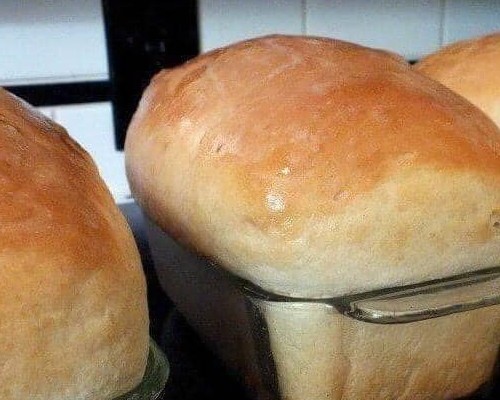 Amish White Bread new york times recipes