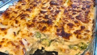 Chicken broccoli lasagne new york times recipesv