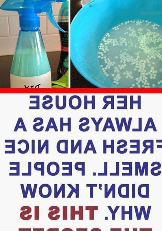 Air fresheners new york times recipes