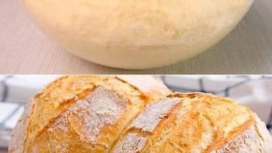 HOW TO MAKE EASY BREAD AT HOME new york times recipes