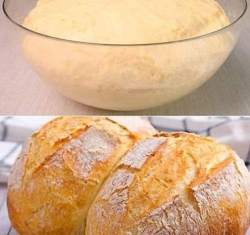 HOW TO MAKE EASY BREAD AT HOME new york times recipes