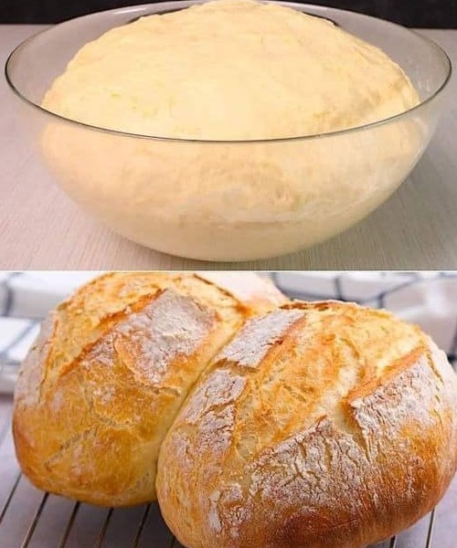 HOW TO MAKE EASY BREAD AT HOME new york times recipes