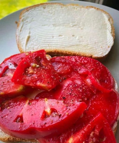 CLASSIC TOMATO SANDWICH new york times recipes