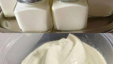 Smooth and Creamy Homemade Cream Cheese with Two new york times recipes