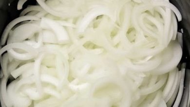Mom dumps 3 lbs of onions in slow cooker overnight new york times recipes
