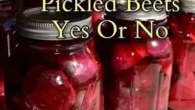 Pickled Beets new york times recipes