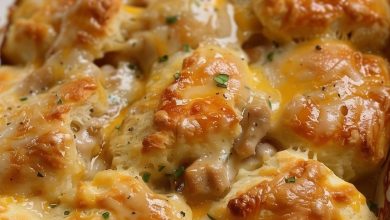 Chicken and Biscuit Bake Recipe