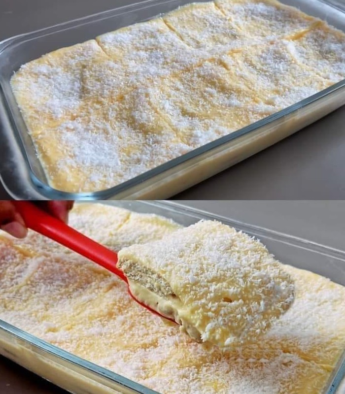 Coconut Custard Bars Recipe