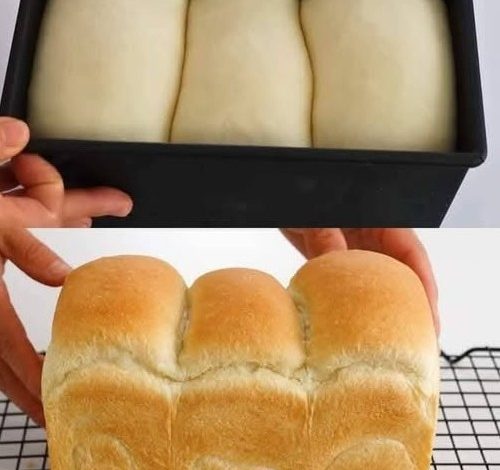 Easiest No-Knead Bread