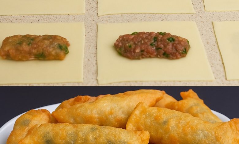 Crispy Meat-Filled Dumpling Rolls