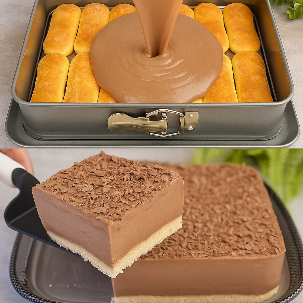 No-Bake Chocolate Vanilla Cream Dessert