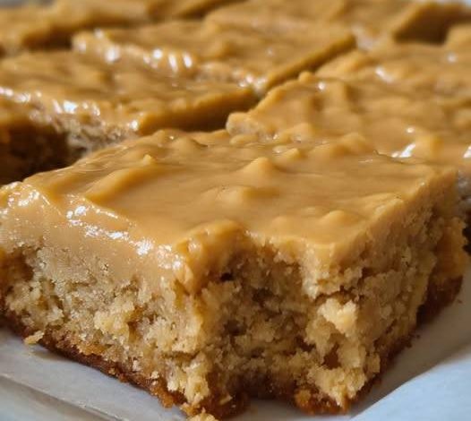 Peanut Butter Blondies with Fudge Frosting