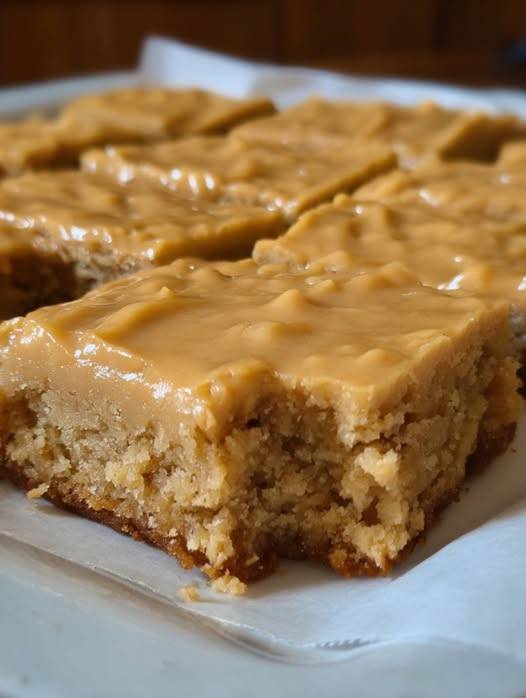 Peanut Butter Blondies with Fudge Frosting